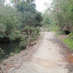 Track above Devlins Ck (79870)