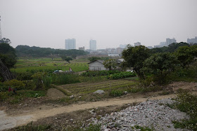 countryside farms with tall urban buildings in the background