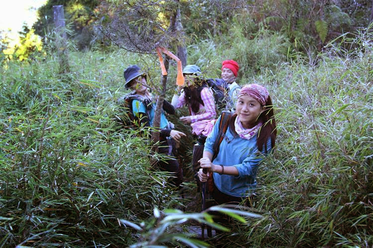 【百岳郡大西巒】郡大山、西巒大山｜箭竹林與伐木遺址