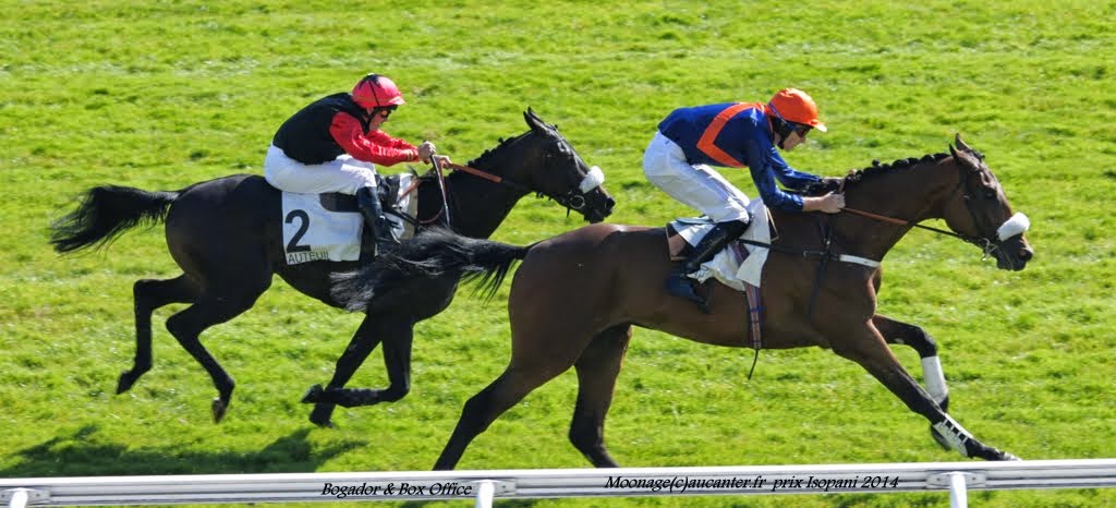 Photos Auteuil le 27-09-2014 IMG_4178