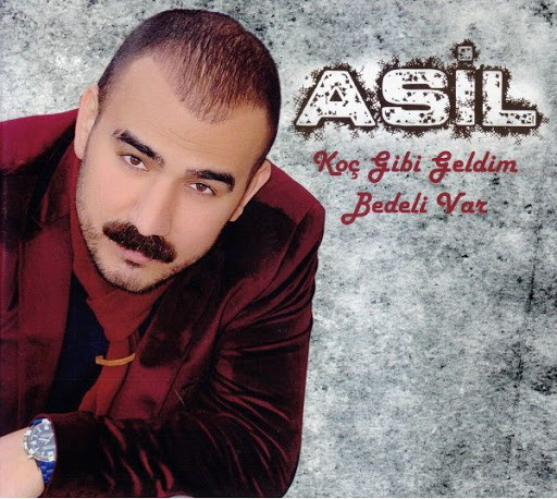Asil%252520-%252520Ko%2525C3%2525A7%2525...525BCm.jpg