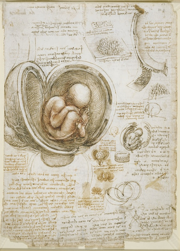 fetus Lukisan Leonardo Da Vinci tentang anatomi manusia