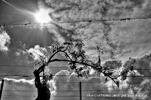 3 maggio 2014 Grana, Alfiano Natta, Grazzano Badoglio, Montachiaro,Montemagno d'Asti - fotografia di Vittorio Ubertone