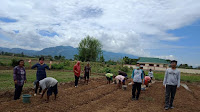 Kepala BPP Dolo Kab.Sigi Giat Beri Semangat Penyuluh dan Petani Pacu Produksi Holtikultura