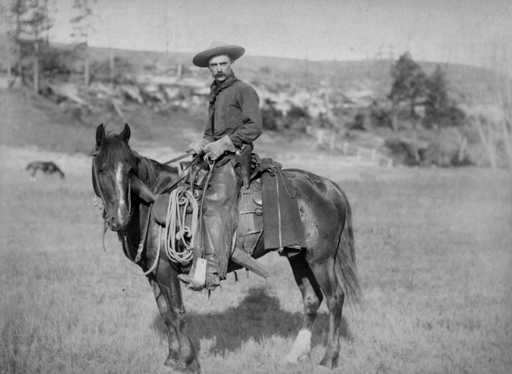 파일:external/upload.wikimedia.org/The_Cow_Boy_1888.jpg