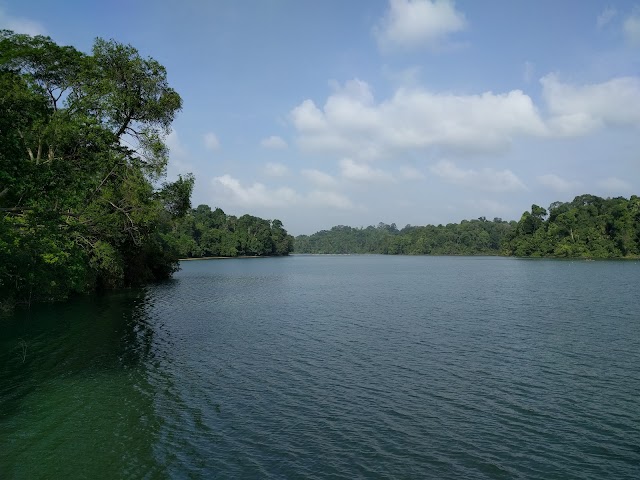 MacRitchie Reservoir Park