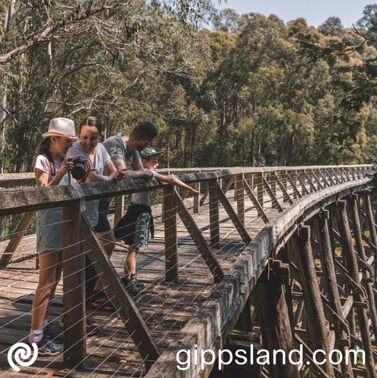 Amidst a scenic eucalyptus and fern forest, the Noojee Trestle Bridge makes the perfect break to capture and enjoy the peaceful surroundings in a photo