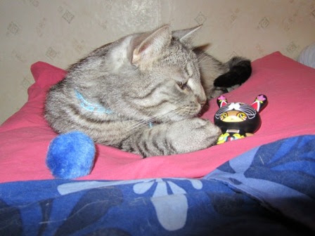 https://lh3.googleusercontent.com/-e2S0YDFfZ50/T3Bdll3QRAI/AAAAAAAAGDA/qwPE7mXBHRI/s448/RS%2520013.JPG
