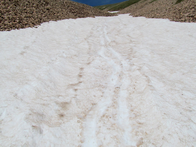 Tracks from my attempt at skiing