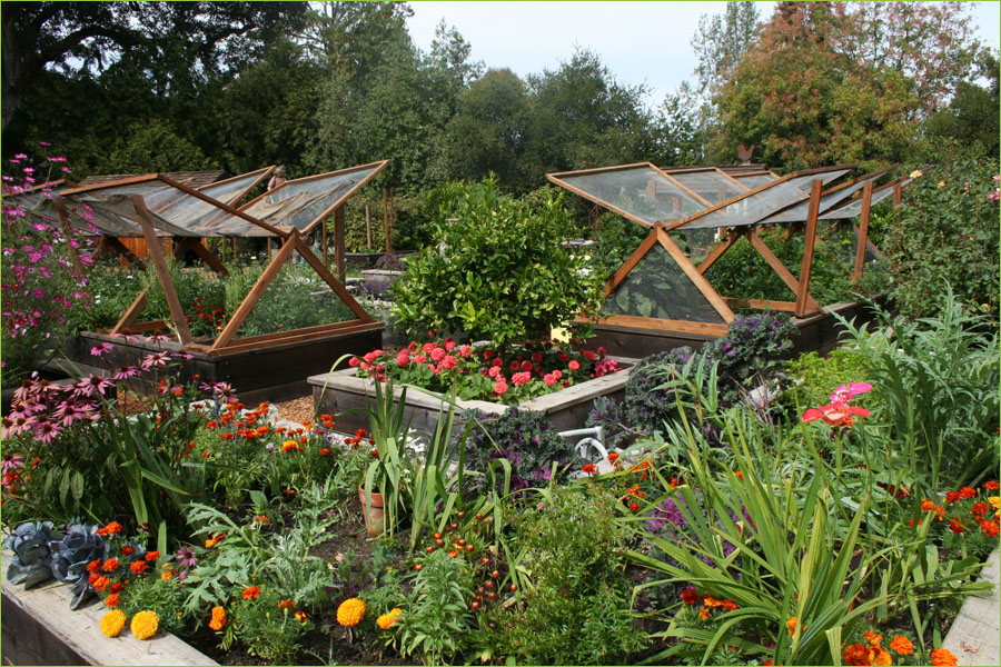 Inspire & Charm: Vegetable Gardens