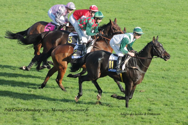 Photos Auteuil 8-11-2015 (48h de l'obstacle) IMG_7096