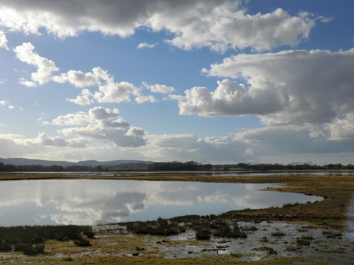 CIMG9979 Winter view from West Mead hide, Pulborough Brooks