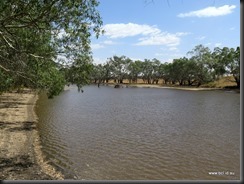 180318 026 Peak Hill  Bogan River Weir