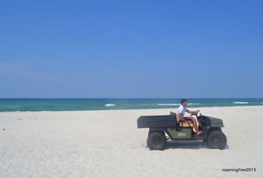 Bryce drove me down to the beach on the gator