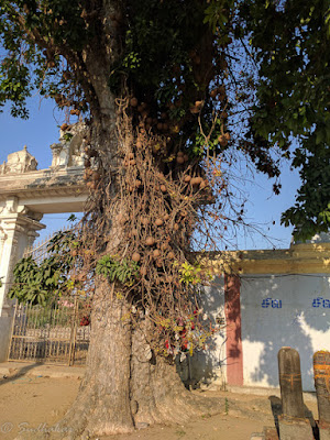 inside  praharam