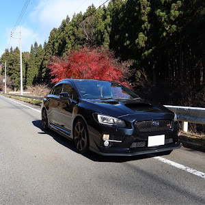 WRX STI