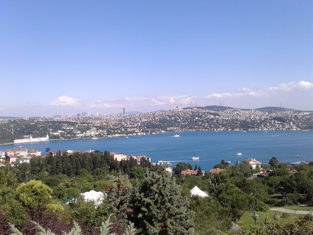 Ulus 29