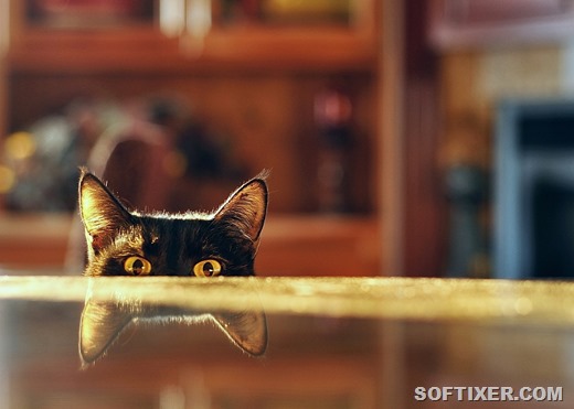 [b45cc436ed2f93304aa23a7d59%5B7%5D]