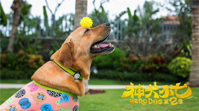 Hero Dog 2 China Drama