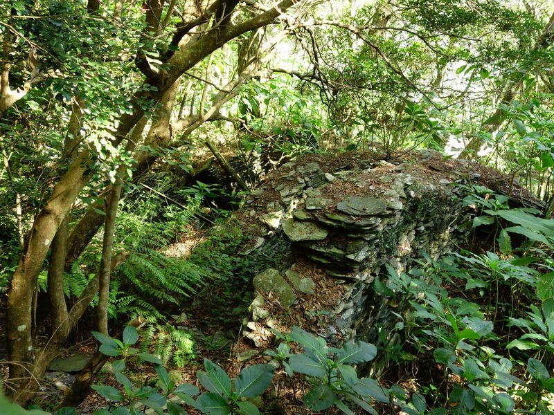 2014_0101-0105 萬山神石、萬山岩雕順訪萬頭蘭山_0109