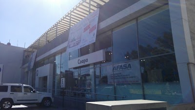 car-dealer