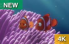 Nemo HD Backgrounds 2019 small promo image