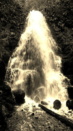 Tourist Attraction «Fairy Falls», reviews and photos, Wahkeena Trail #420, Corbett, OR 97019, USA