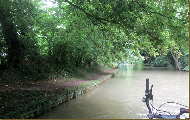 IMG_1009 IMG_1009