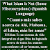 What Islam is Not Spanish | Lo Que No Es El Islam