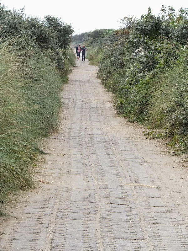 public footpath near North Shore