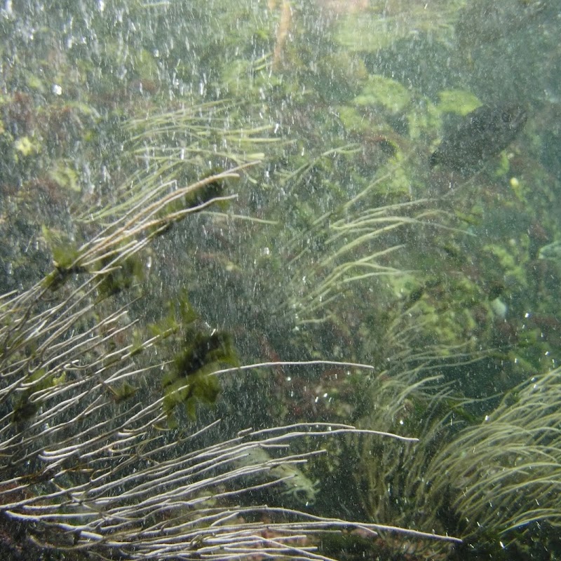 Aquarium_11.jpg