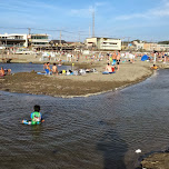 at Yuigahama Beach in Kamakura, Japan in Kamakura, Japan 