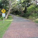 Road leading beside the bush (252695)