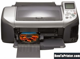 Reset Epson R310 printer with Epson Waste Ink Pad Counters resetter