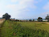 Footpath back down to the estuary