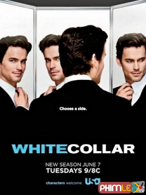 Movie White Collar Season 3 (2011) | Cổ Cồn Trắng Phần 3 (2013)