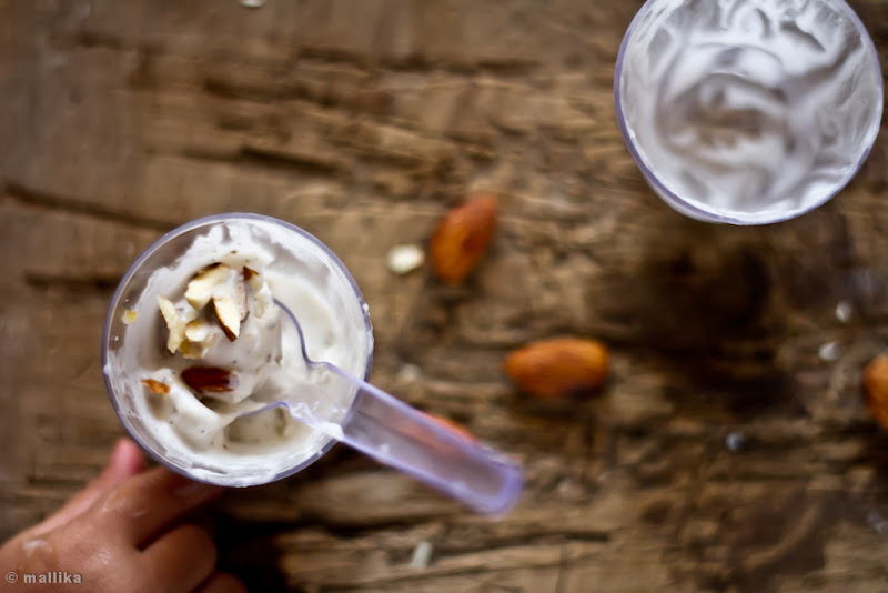 Coconut cream, Vanilla Bean & Roasted Almond Ice cream