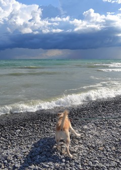 Casey wanted to get the waves