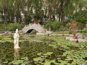 water lily pond at Wenying Park in Taiyuan