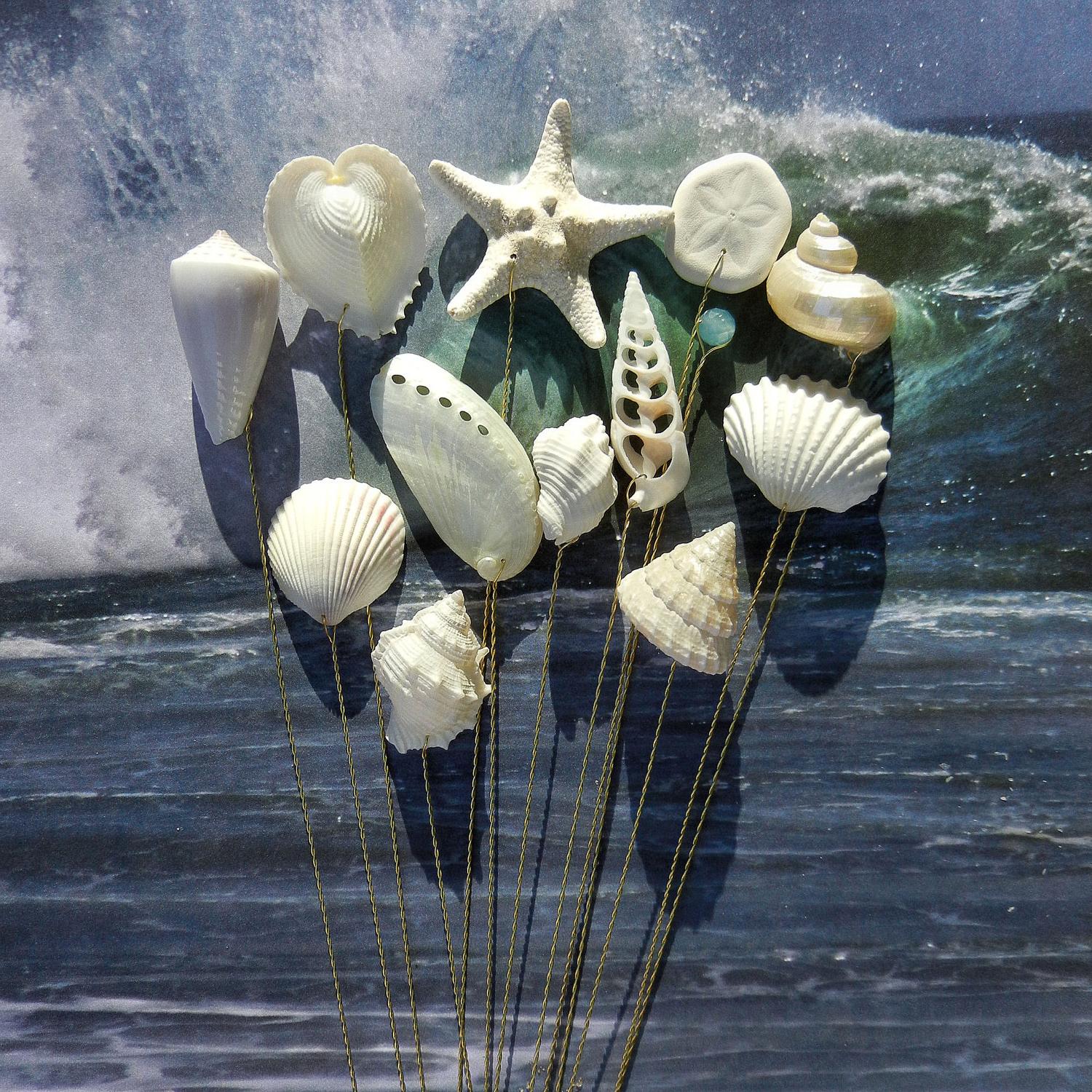 Seashells - 12 Stems for