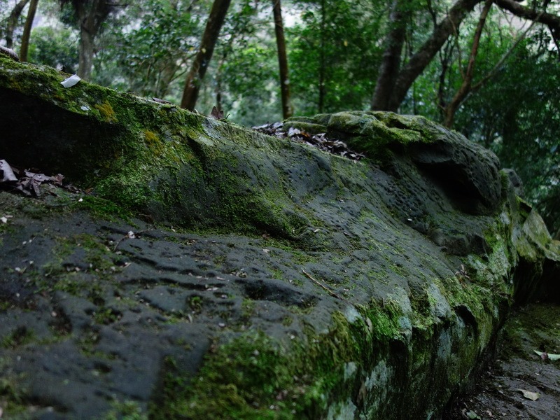 2014_0101-0105 萬山神石、萬山岩雕順訪萬頭蘭山_0479