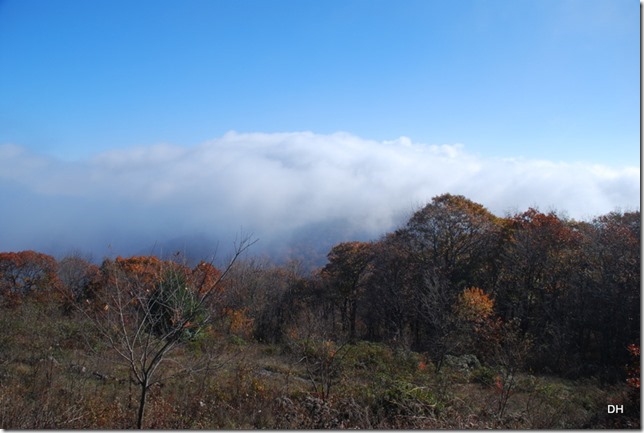 10-23-15 A Skyline Drive Shenandoah NP (76)