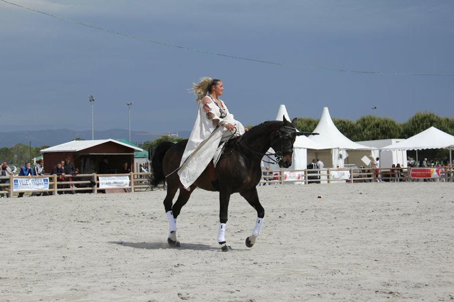 salon du cheval de frejus 2012 Frejus2