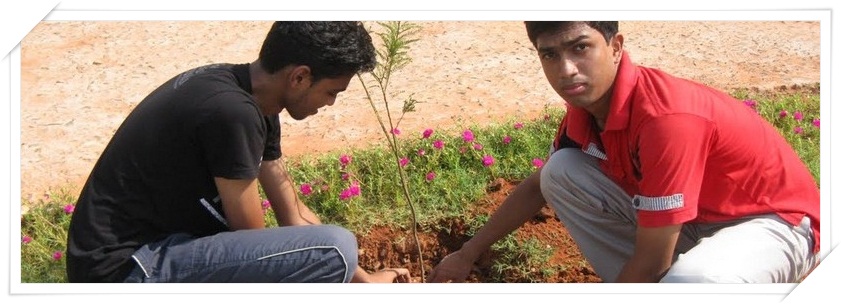 Students planting trees on the occasion of world environment day