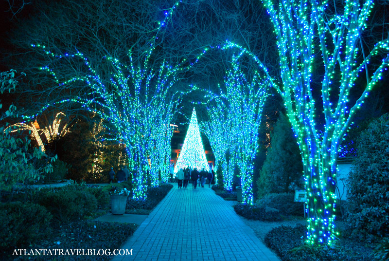 Atlanta Botanical Garden Lights Photograph Atlanta Botanic