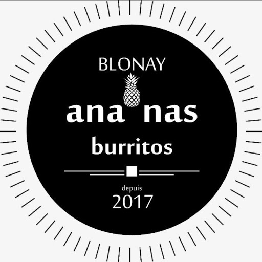 Ananas Burritos