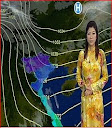 thoi tiet - vuon toi thanh cong