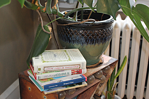 Books and plants