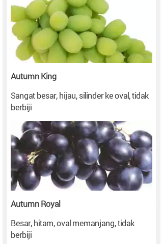  Macam  macam  Jenis Buah Anggur  dan Ciri cirinya 1001 