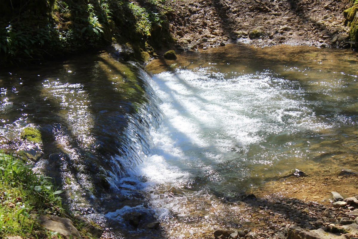 La cascade du Buizin IMG_2441